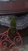 IMG-20171224-WA0117.jpeg
