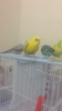 C12D0798-3BCC-4CDC-B9D0-B278D806DBB7.png