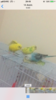 6ACBCE23-ED69-4C12-BDF7-83AA06E7B10D.png