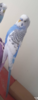 20171231_222721.png