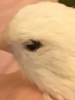 E2862335-DC4A-49F3-A167-4586C248AAAB.png