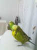 20180110_200030.jpg