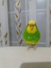 20180110_200051.jpg