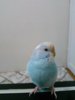 IMG_20180116_185823.jpg