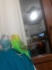 20171205_223719.jpg