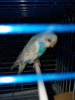 20180131_154928.jpg