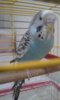 20180201_231632.jpg
