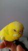 20180131_092334.jpg