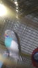 20180206_153022.jpg