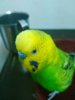 IMG_20180208_190644.jpg
