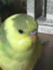 B6E28707-C422-4A41-85D8-C72924246ADD.jpeg