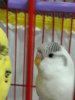 r.jpg