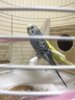 C05EDFF9-3C27-455E-BFB4-CE50CB480E27.jpeg