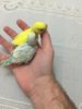 image.jpeg