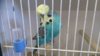 DSC_0171.JPG