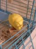 tumblr_oeqmz4YcHs1vb1ai3o1_1280.jpg