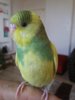 20161009_152715.jpg