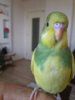 20161009_152712.jpg