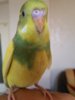 20161008_162911.jpg