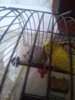 20161015_162643.jpg