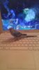IMG-20161016-WA0009.jpeg IMG-20161016-WA0009.jpeg