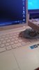 IMG-20161016-WA0011.jpeg IMG-20161016-WA0011.jpeg