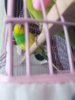20180216_162738.jpg