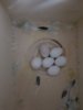 20180215_221759.jpg