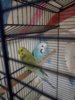 20180215_221816.jpg