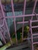 20180217_192000.jpg