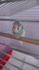 IMG-20180219-WA0005.jpeg