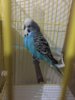 67BD8920-E8D9-4549-8305-A6D14C8D5963.jpeg