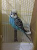6875774B-DCDF-44DB-B265-725CC476BD5E.jpeg