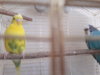 20180313_101454.jpg