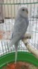 IMG-20180324-WA0005.jpg