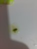 20180327_202824.jpg