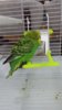 IMG-20180329-WA0004.jpeg