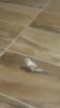20180330_011858.jpg