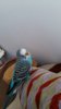 20180410_104101.jpg