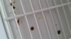 20180410_103927.jpg