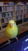 DSC_0017.JPG