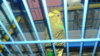 20180424_235036.jpg