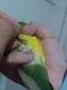 20180425_231916.jpg