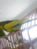 20180502_132236.jpg