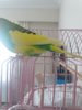 20180502_133630.jpg