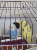 20180420_234959.jpg