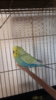 20180513_190715.jpg