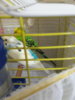 20180524_030626.jpg