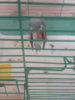 20180525_010050.jpg