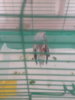 20180525_010056.jpg